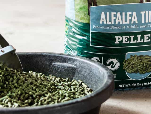 Alfalfa Timothy Hay for Horses