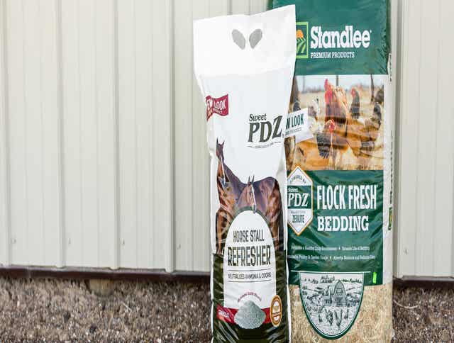 Choosing the Right Bedding: Clean, Comfortable, and Healthy Options for Your Barn