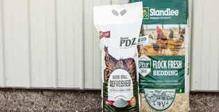 Choosing the Right Bedding: Clean, Comfortable, and Healthy Options for Your Barn