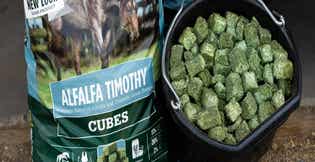 The Scoop on Hay Cubes for Horses: Benefits, Nutrition, and How to Feed Them