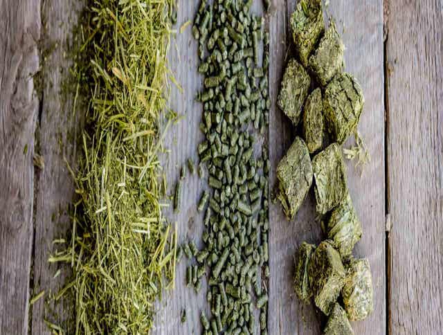 Understanding the Various Forms of Premium Standlee Horse and Livestock Feed