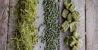 Understanding the Various Forms of Premium Standlee Horse and Livestock Feed