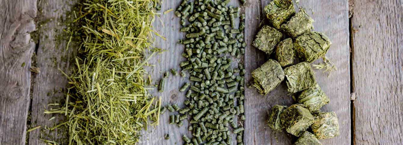Understanding Feed Forms & Types For Horses and Livestock