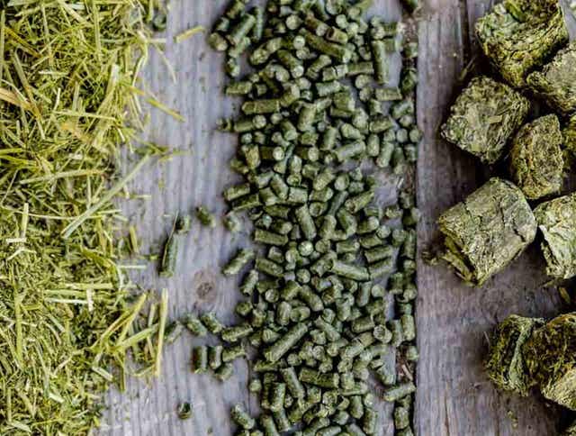 Understanding the Various Forms of Premium Standlee Horse and Livestock Feed