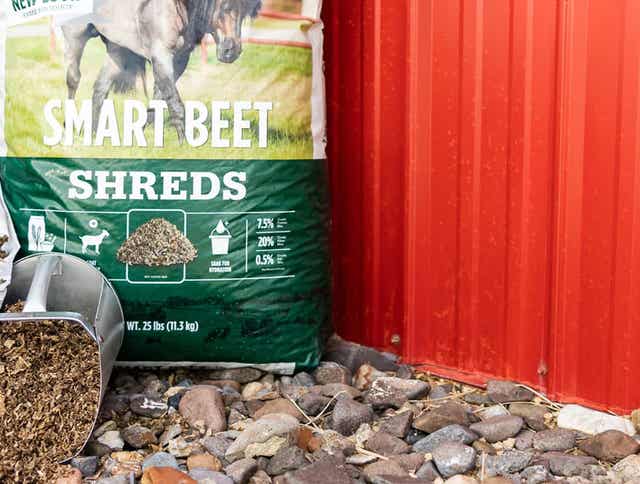 Beet Pulp for Horses: How It's Made and Why Color Can Vary