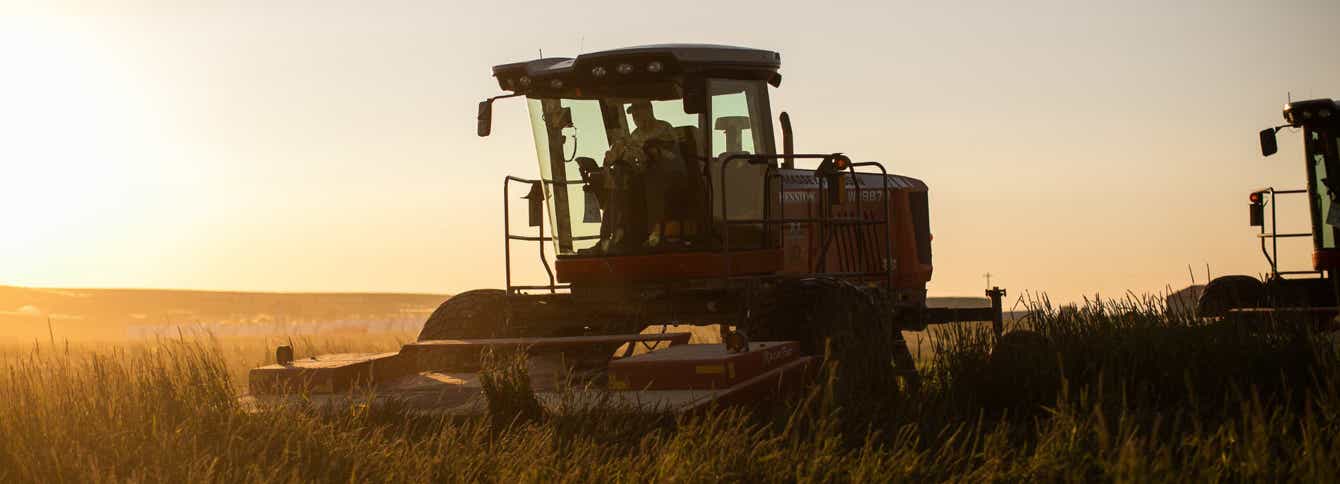 The Benefits of Feeding Timothy Hay Products to Horses