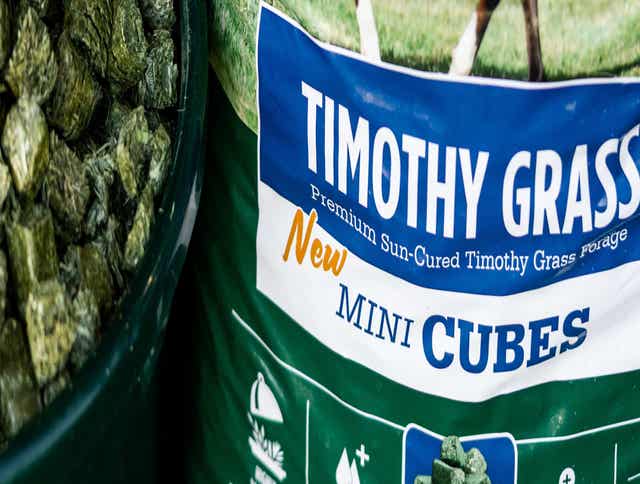 Timothy Grass Mini Cubes: A First in the Forage Industry