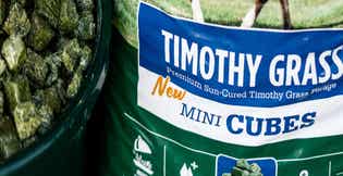 Timothy Grass Mini Cubes: A First in the Forage Industry