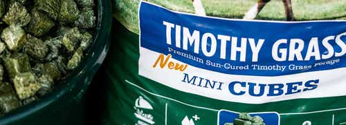 Timothy Grass Mini Cubes. Faster Soaking, Safer Feeding.