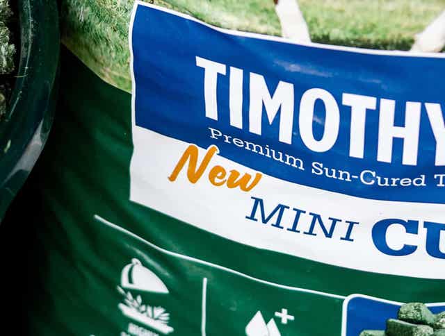 Timothy Grass Mini Cubes: A First in the Forage Industry