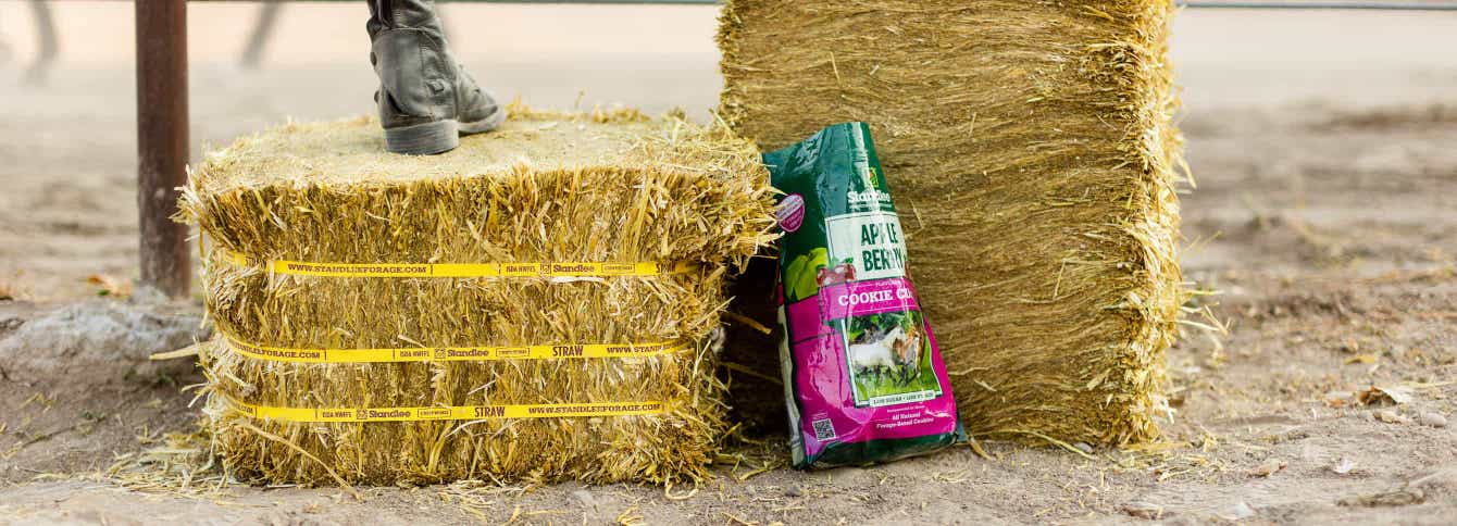 What is the Difference Between Hay, Straw and Premium Forage?