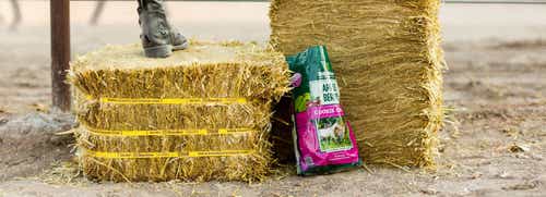 What is the Difference Between Hay, Straw and Premium Forage?