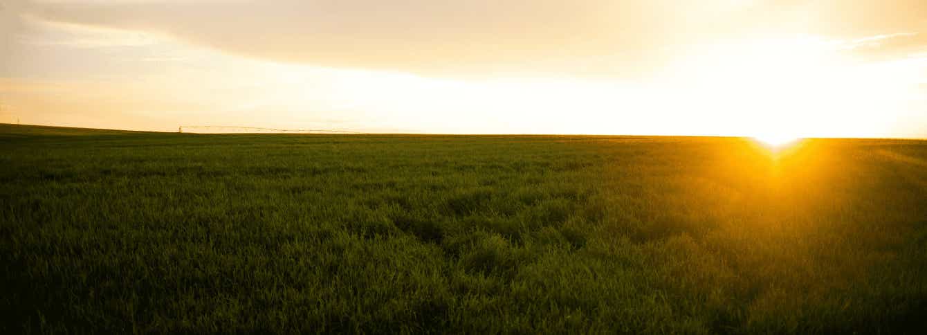 Standlee Alfalfa is Grown Using Sustainable Agriculture Practices