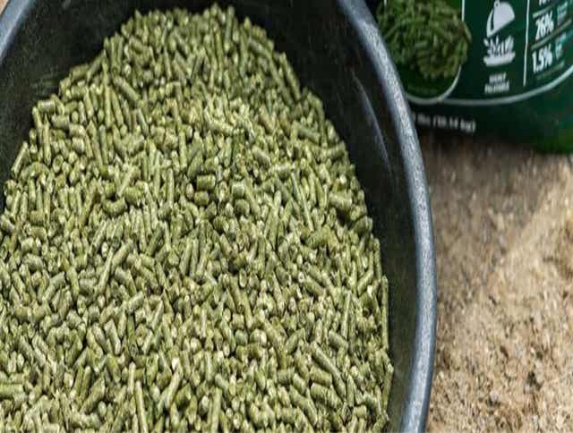 The Scoop on Forage Pellets for Horses