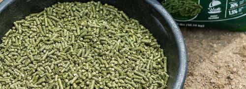 Everything you need to know about forage pellets for horses.