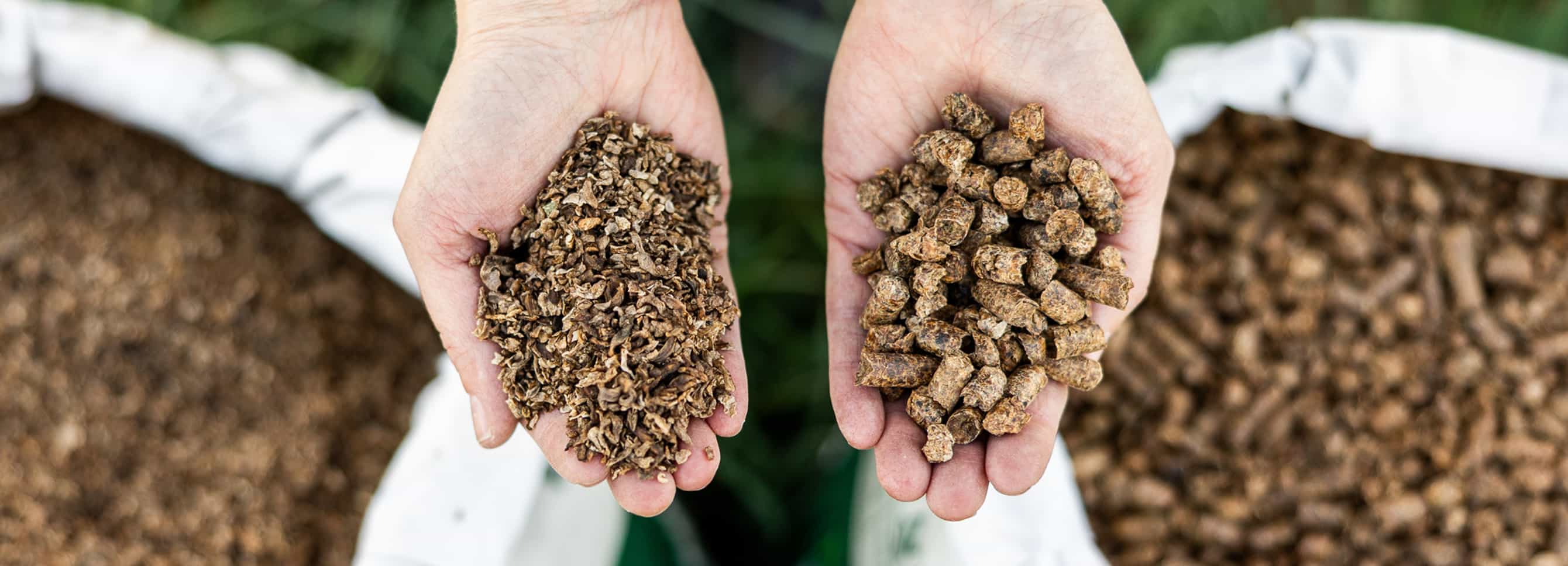 Close-up comparison of beet pulp shreds and beet pulp pellets.