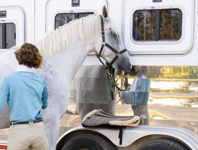 Summer Travel: Tips for Traveling with Horses