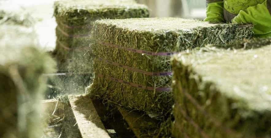Forage fines falling from compressed bales.