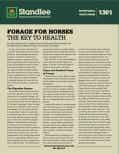 forage for horses nutritional paper thumbnail