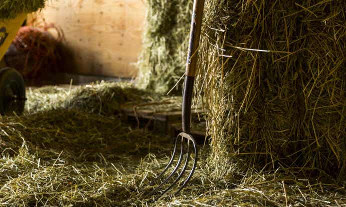 Forage Storage Compressed Bales