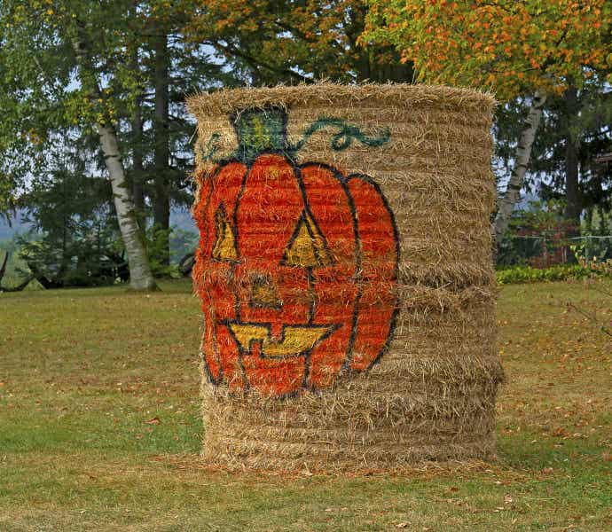 Can You Use Halloween Straw Bales In Your Garden?