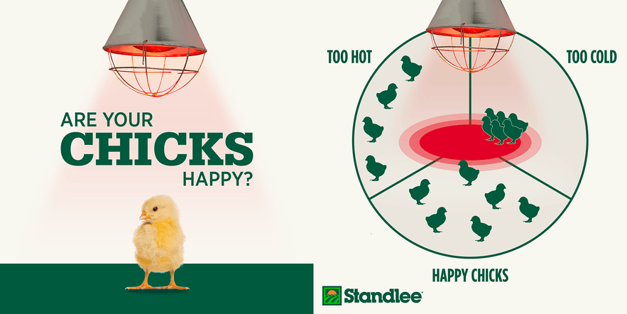 Heat scource tips for chick brooders.