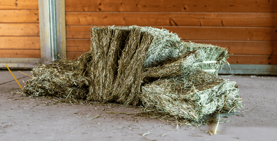 Compressed flakes of forage arranged in a barn, showcasing the texture and quality of the forage.