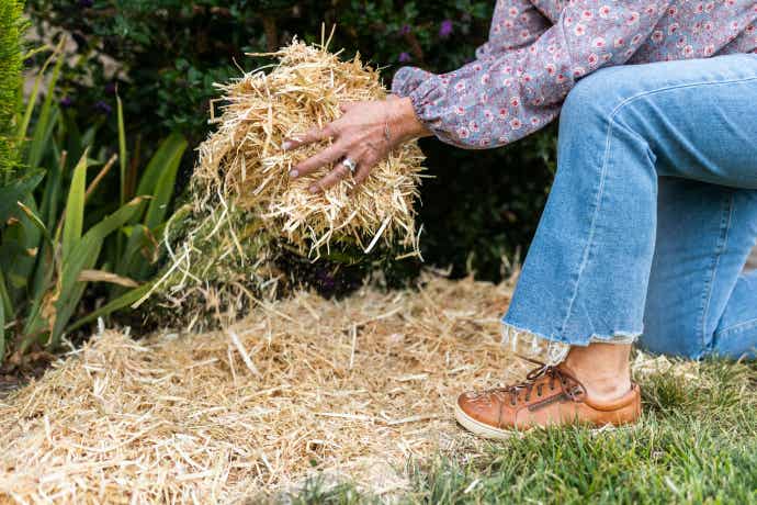 Person holding hay