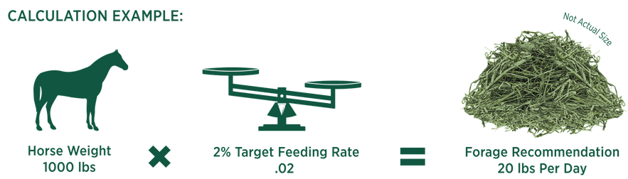 Horse Feeding Chart