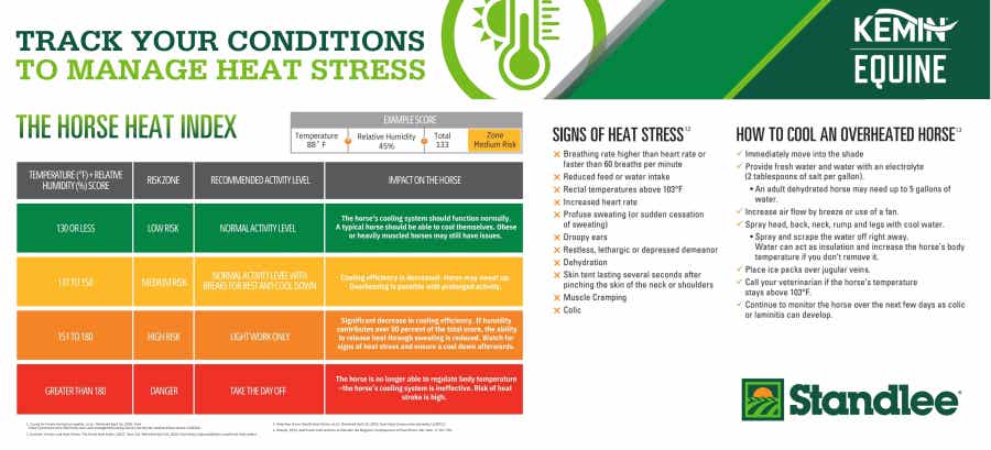 Horse Heat Stress Chart