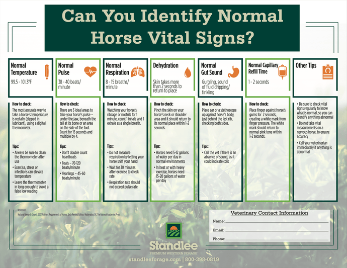 Horse Vital Signs Infographic