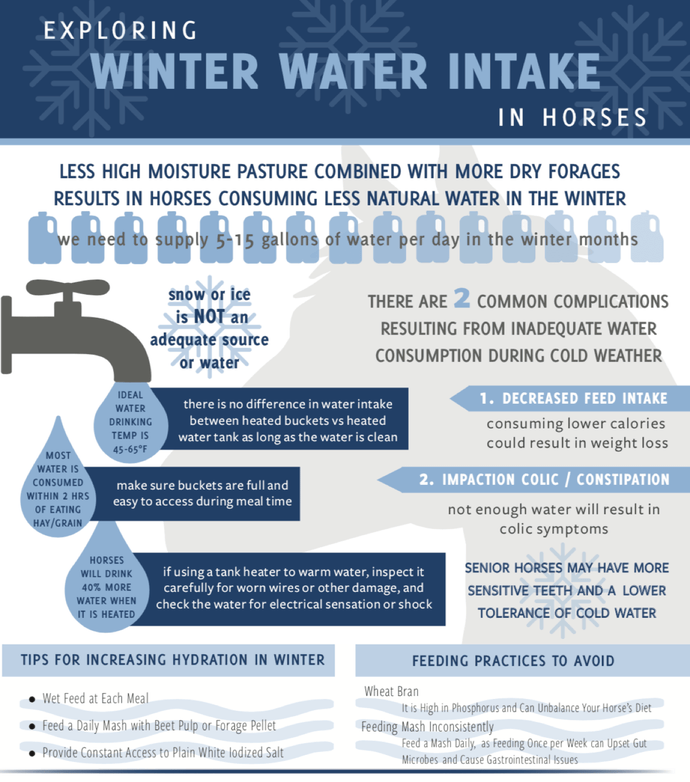 Horse Winter Water Intake Infographic