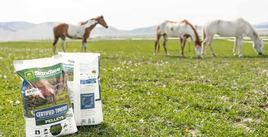 Standlee timothy grass pellets with horses grazing in pasture.