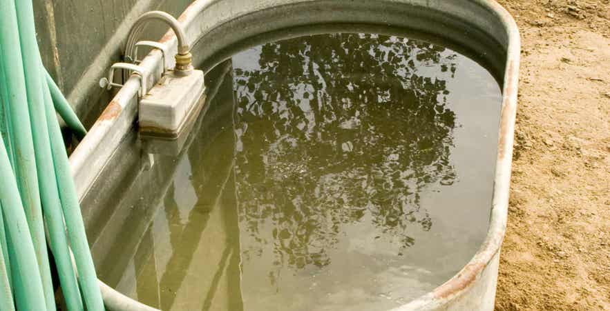Livestock water trough.