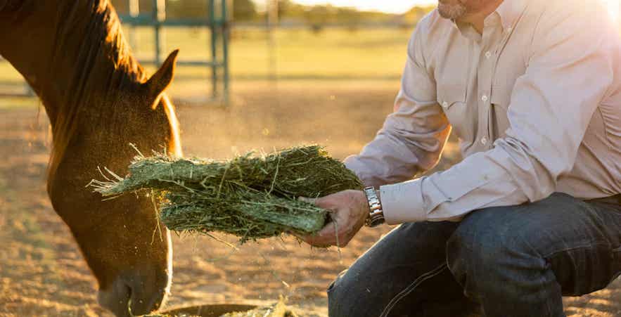 Man holding piece of forage bale.