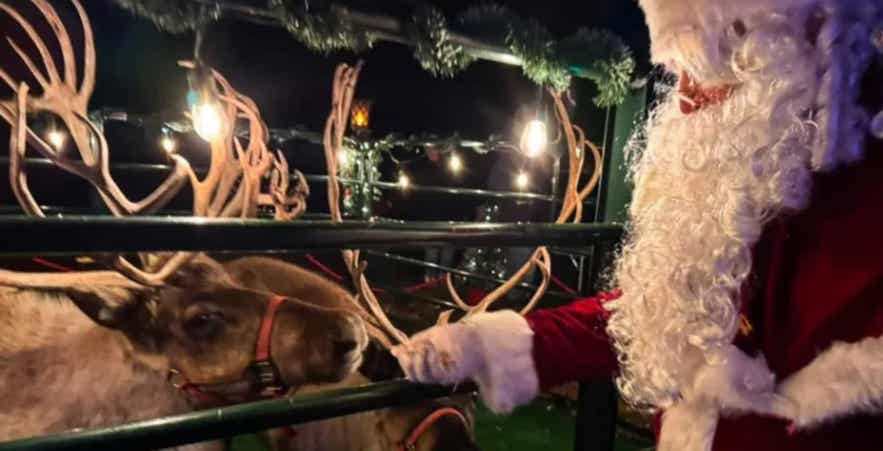 Santa Feeding Reindeer