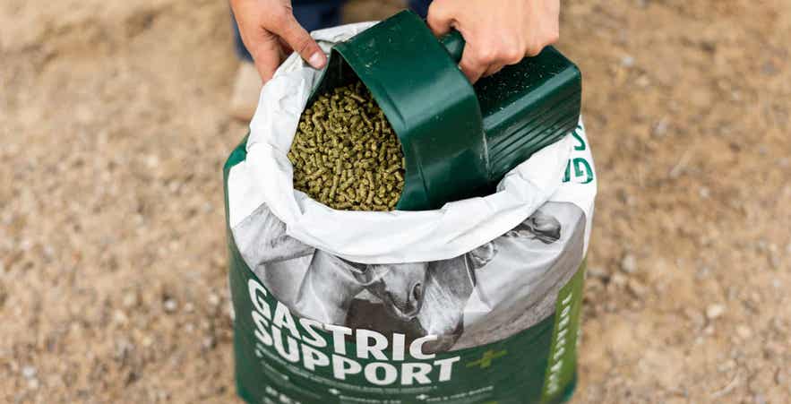 Close-up of someone scooping product from a bag of Standlee Forage Plus&trade; Gastric Support Pellets designed to support a forage-based approach to equine gastric health and nutrition.