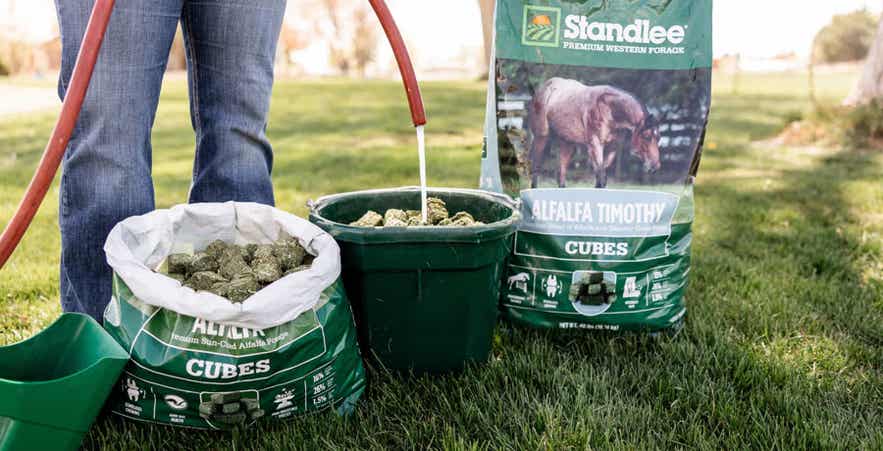 A person soaking Standlee forage cubes with a hose.