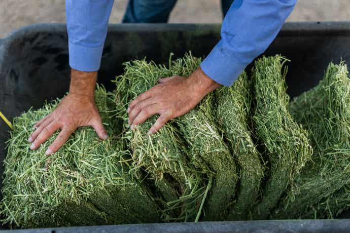 Person sorting straw