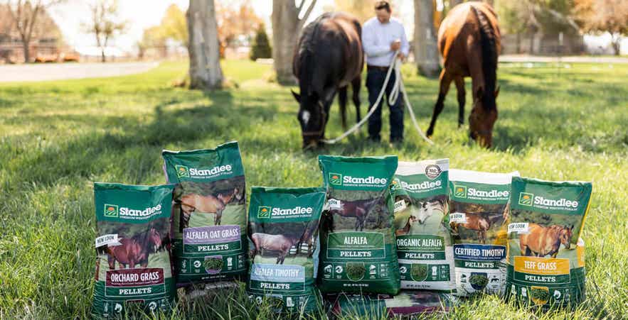 Standlee bagged forage options with horses grazing in pasture.