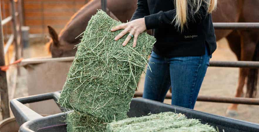 Woman holding compressed forage bale flake.