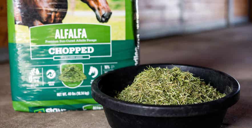 Close-up of chopped alfalfa in feed pan with bag in background.