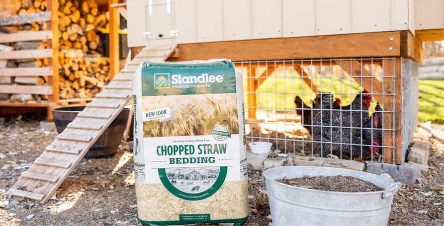 Standlee chopped straw bedding in front of chicken coop.