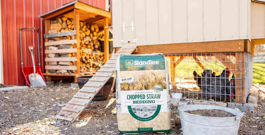 Certified Chopped Straw bedding beside a chicken coop with hens.