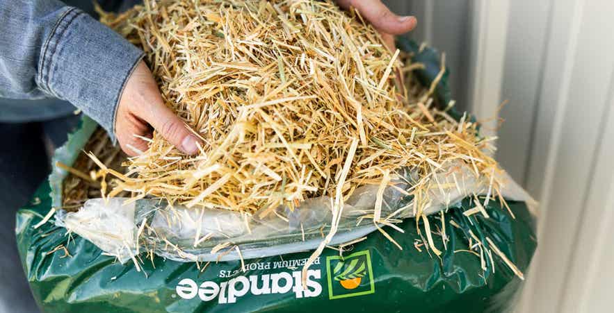Close-up of chopped straw bedding used for moisture control in chicken coops.