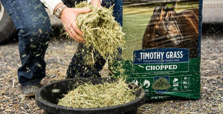 Standlee Chopped Timothy Grass