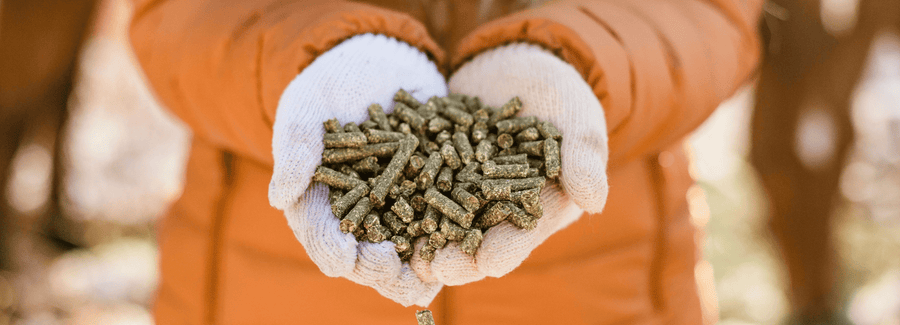 Standlee Forage Pellets