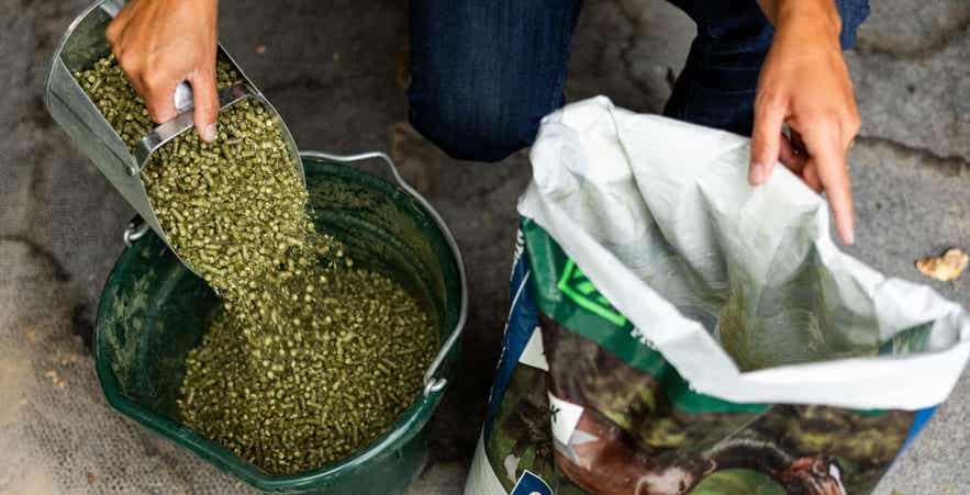 Pouring horse forage pellets into bucket from Standlee bag.