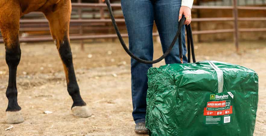 Horse on lead rope standing next to Standlee compressed forage bale.
