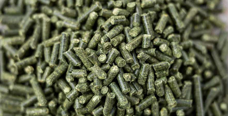 Standlee Forage Pellet Feed.